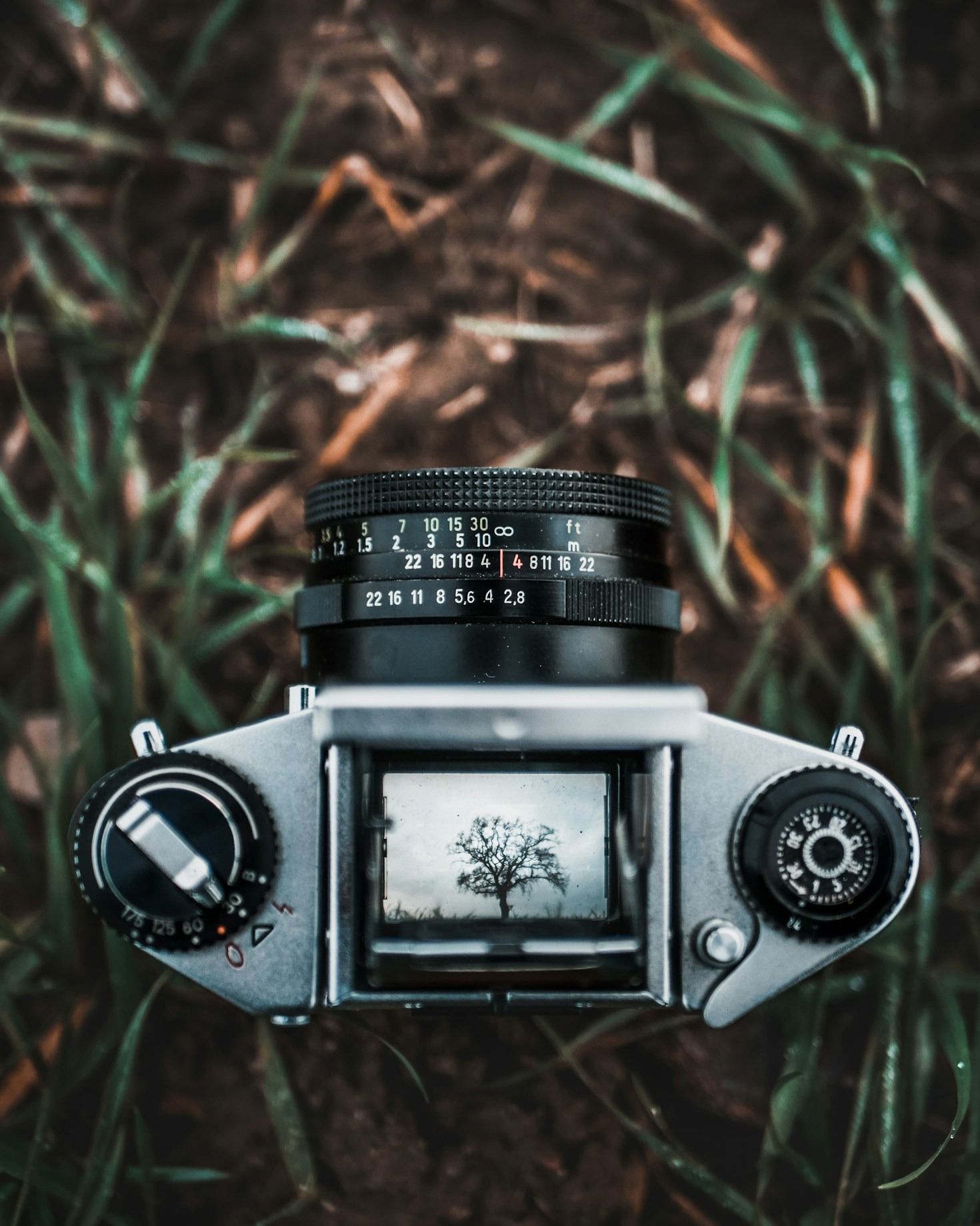 Wie Sie den perfekten Fotografen auswählen